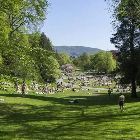 Nyaraló Dinbnb I New 2021 I Affordable Option